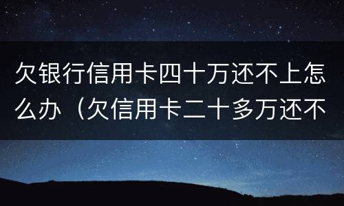 欠银行信用卡四十万还不上怎么办（欠信用卡二十多万还不上怎么办）