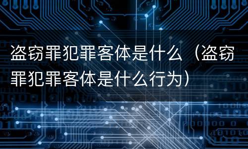 盗窃罪犯罪客体是什么（盗窃罪犯罪客体是什么行为）