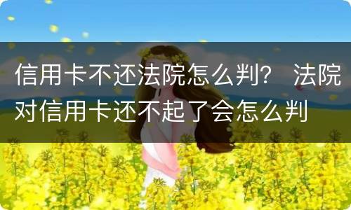 信用卡不还法院怎么判？ 法院对信用卡还不起了会怎么判