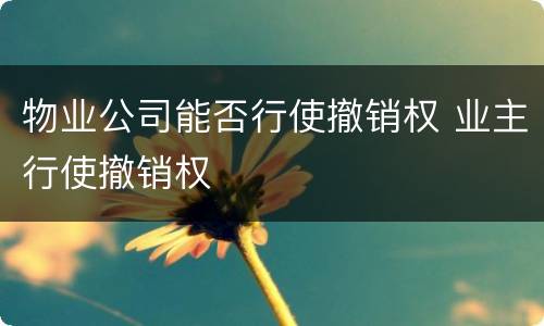 物业公司能否行使撤销权 业主行使撤销权