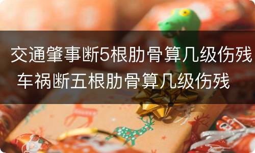 交通肇事断5根肋骨算几级伤残 车祸断五根肋骨算几级伤残