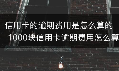 信用卡的逾期费用是怎么算的 1000块信用卡逾期费用怎么算