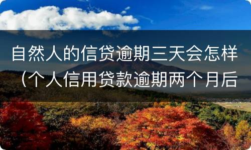 自然人的信贷逾期三天会怎样（个人信用贷款逾期两个月后果）
