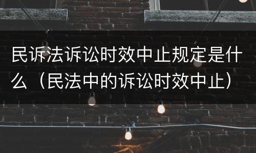 民诉法诉讼时效中止规定是什么（民法中的诉讼时效中止）