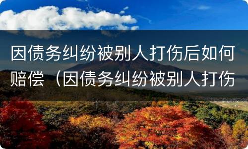 因债务纠纷被别人打伤后如何赔偿（因债务纠纷被别人打伤后如何赔偿对方）