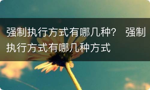 强制执行方式有哪几种？ 强制执行方式有哪几种方式