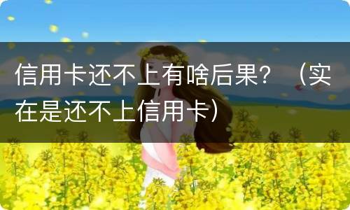 信用卡还不上有啥后果？（实在是还不上信用卡）