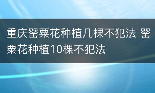 重庆罂粟花种植几棵不犯法 罂粟花种植10棵不犯法