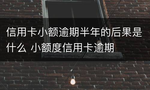 信用卡小额逾期半年的后果是什么 小额度信用卡逾期