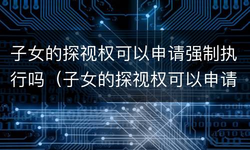 子女的探视权可以申请强制执行吗（子女的探视权可以申请强制执行吗）
