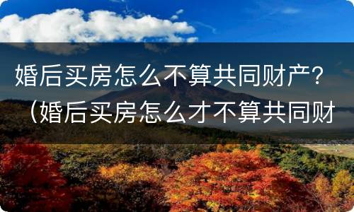 婚后买房怎么不算共同财产？（婚后买房怎么才不算共同财产）