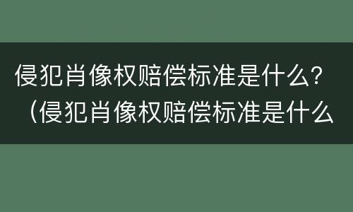 侵犯肖像权赔偿标准是什么？（侵犯肖像权赔偿标准是什么样的）