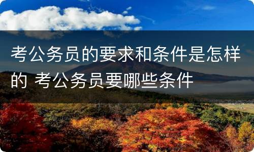考公务员的要求和条件是怎样的 考公务员要哪些条件