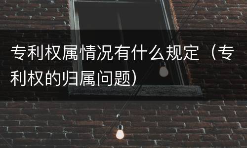 专利权属情况有什么规定（专利权的归属问题）