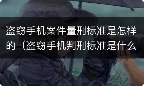 盗窃手机案件量刑标准是怎样的（盗窃手机判刑标准是什么）
