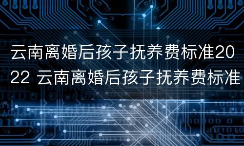 云南离婚后孩子抚养费标准2022 云南离婚后孩子抚养费标准2022多少
