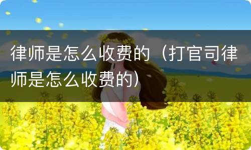 律师是怎么收费的（打官司律师是怎么收费的）