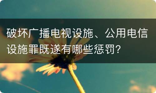 破坏广播电视设施、公用电信设施罪既遂有哪些惩罚？