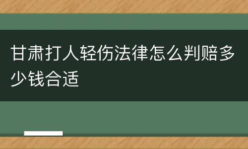 甘肃打人轻伤法律怎么判赔多少钱合适