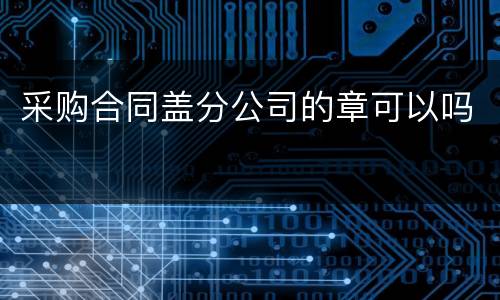 采购合同盖分公司的章可以吗