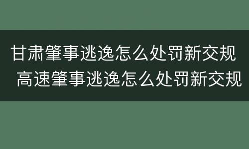 甘肃肇事逃逸怎么处罚新交规 高速肇事逃逸怎么处罚新交规