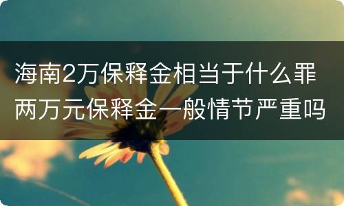 海南2万保释金相当于什么罪 两万元保释金一般情节严重吗