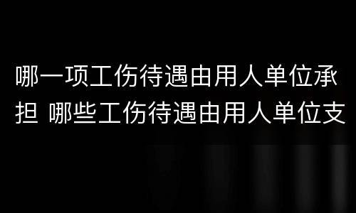 哪一项工伤待遇由用人单位承担 哪些工伤待遇由用人单位支付