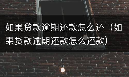 如果贷款逾期还款怎么还（如果贷款逾期还款怎么还款）
