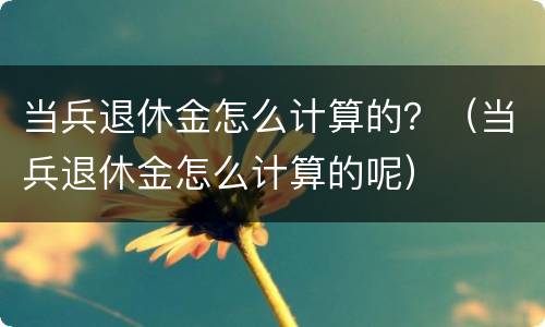 当兵退休金怎么计算的？（当兵退休金怎么计算的呢）