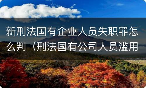 新刑法国有企业人员失职罪怎么判（刑法国有公司人员滥用职权罪）