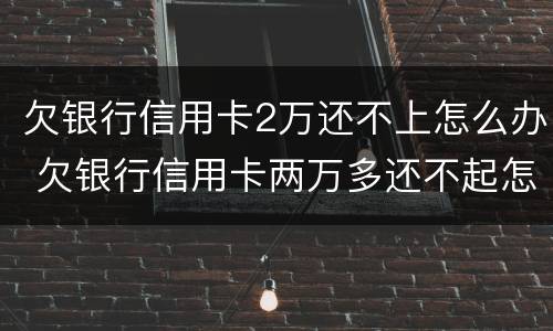 欠银行信用卡2万还不上怎么办 欠银行信用卡两万多还不起怎么办