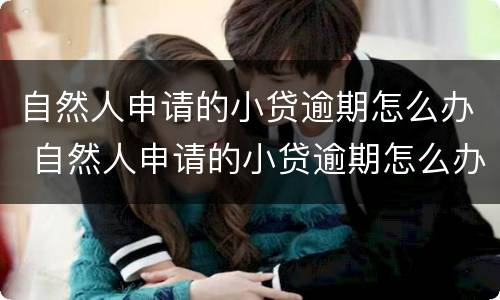 自然人申请的小贷逾期怎么办 自然人申请的小贷逾期怎么办理
