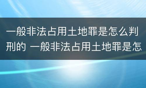 一般非法占用土地罪是怎么判刑的 一般非法占用土地罪是怎么判刑的案例