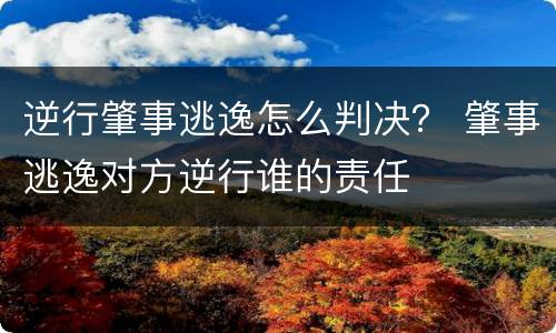逆行肇事逃逸怎么判决？ 肇事逃逸对方逆行谁的责任