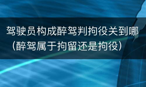 驾驶员构成醉驾判拘役关到哪（醉驾属于拘留还是拘役）
