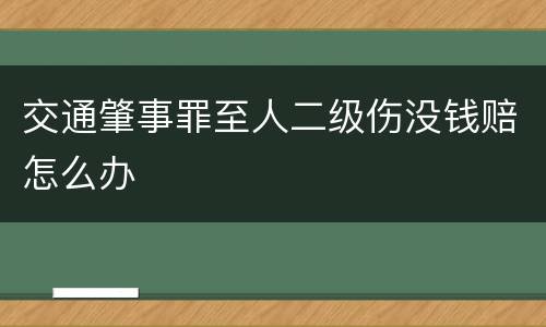 交通肇事罪至人二级伤没钱赔怎么办