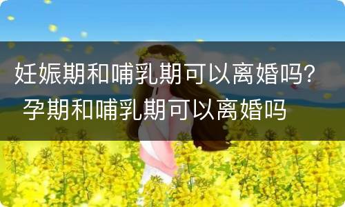 妊娠期和哺乳期可以离婚吗？ 孕期和哺乳期可以离婚吗