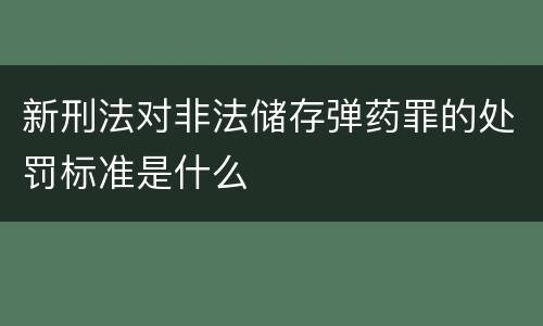 新刑法对非法储存弹药罪的处罚标准是什么