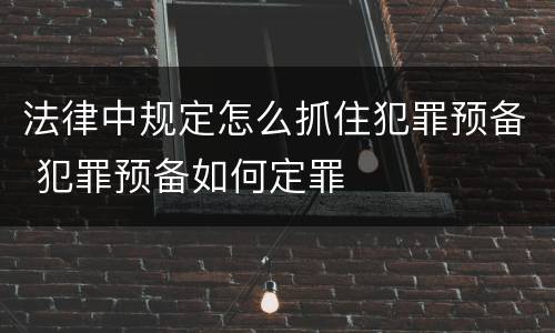 法律中规定怎么抓住犯罪预备 犯罪预备如何定罪