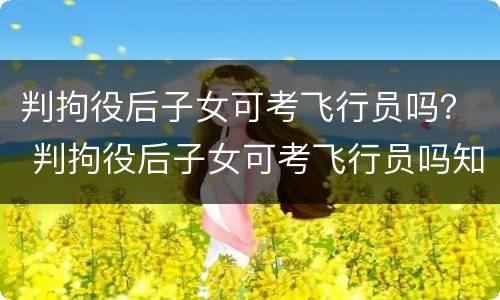 判拘役后子女可考飞行员吗？ 判拘役后子女可考飞行员吗知乎