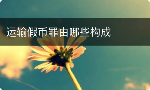 运输假币罪由哪些构成