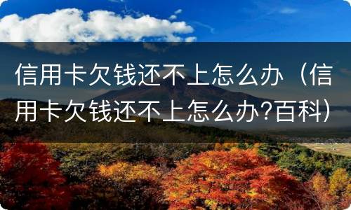 信用卡欠钱还不上怎么办（信用卡欠钱还不上怎么办?百科）