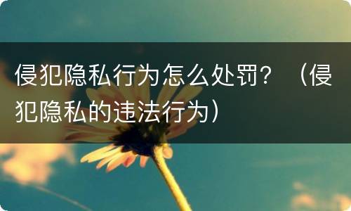 侵犯隐私行为怎么处罚？（侵犯隐私的违法行为）