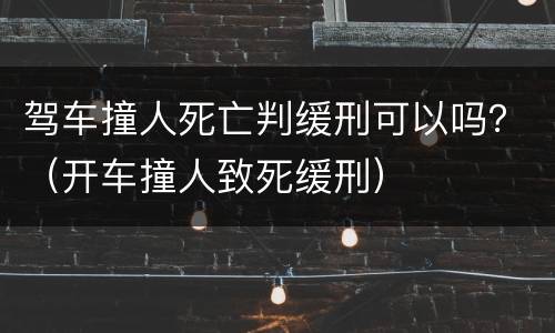 驾车撞人死亡判缓刑可以吗？（开车撞人致死缓刑）