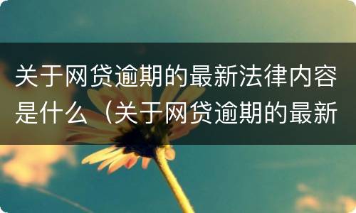 关于网贷逾期的最新法律内容是什么（关于网贷逾期的最新法律内容是什么呢）