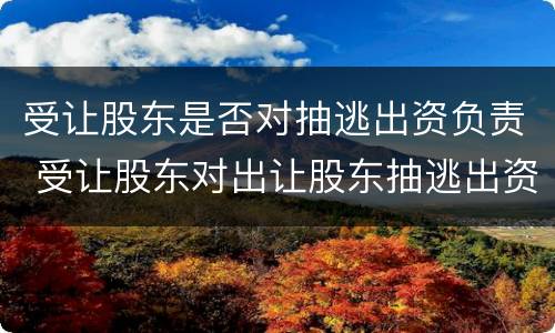 受让股东是否对抽逃出资负责 受让股东对出让股东抽逃出资