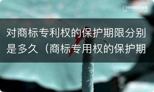 对商标专利权的保护期限分别是多久（商标专用权的保护期限）