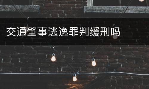 交通肇事逃逸罪判缓刑吗