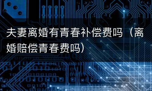 夫妻离婚有青春补偿费吗（离婚赔偿青春费吗）