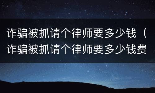 诈骗被抓请个律师要多少钱（诈骗被抓请个律师要多少钱费用）